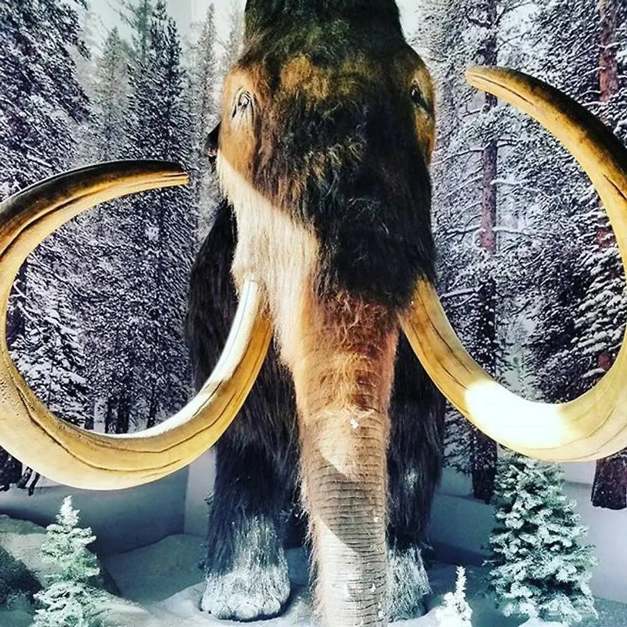 Holiday home Juniper Springs Lodge #238 Mammoth Lakes United States