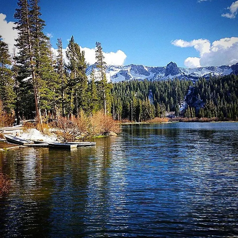 Juniper Springs Lodge #238 Mammoth Lakes